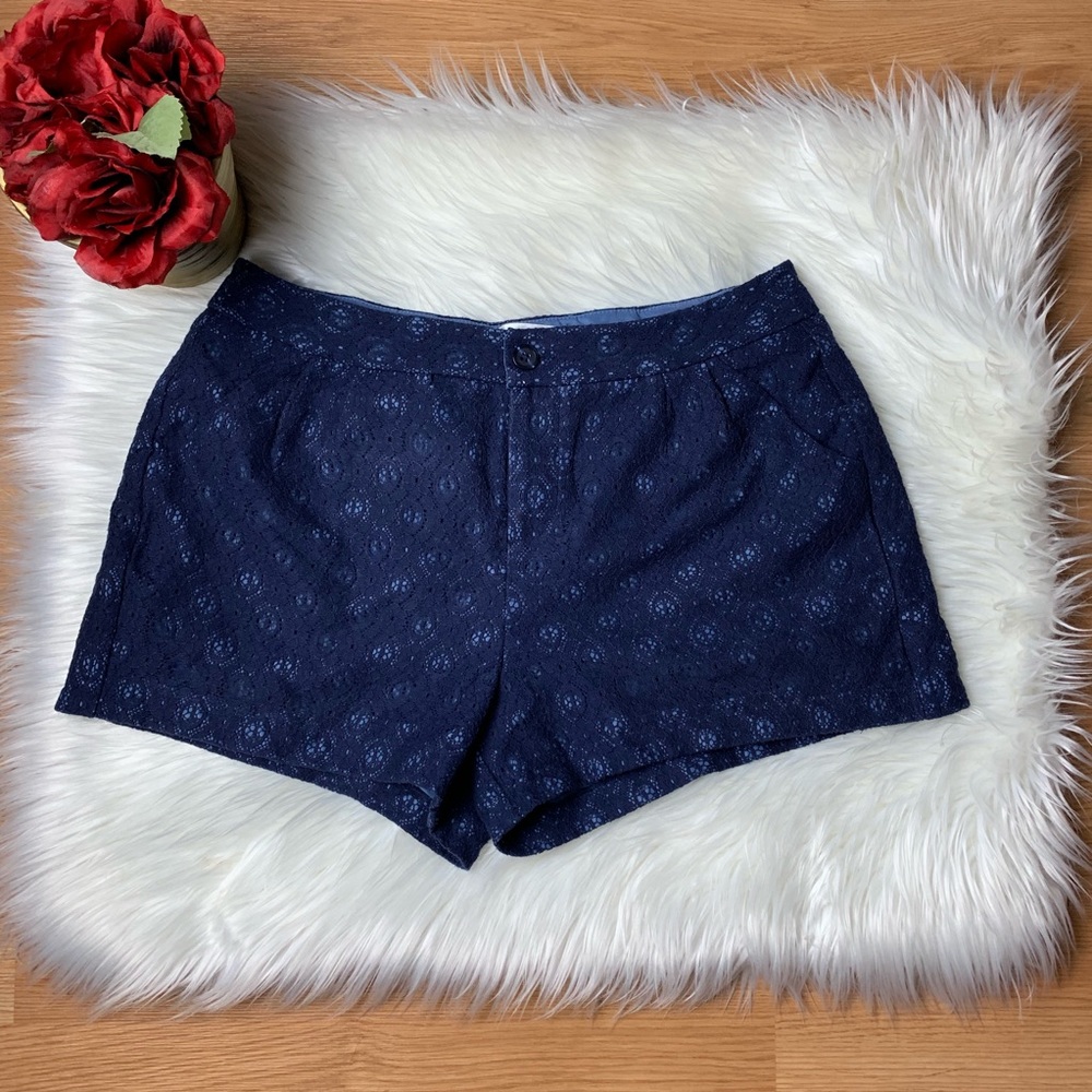 ☀️ Lauren Conrad Women’s Blue Knitted Shorts☀️